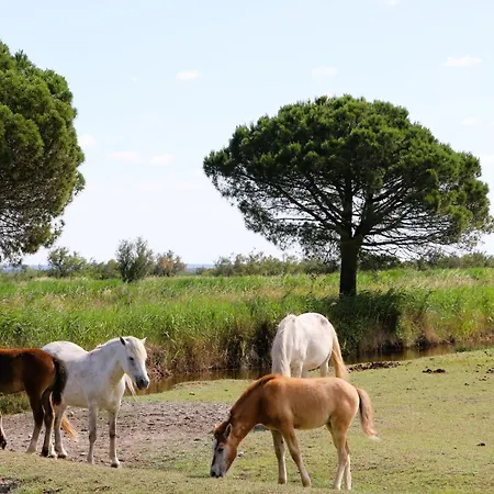 Des Sables Aigues-Mortes
