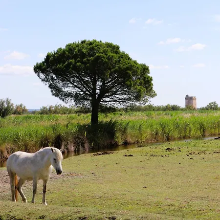 Отель Des Sables