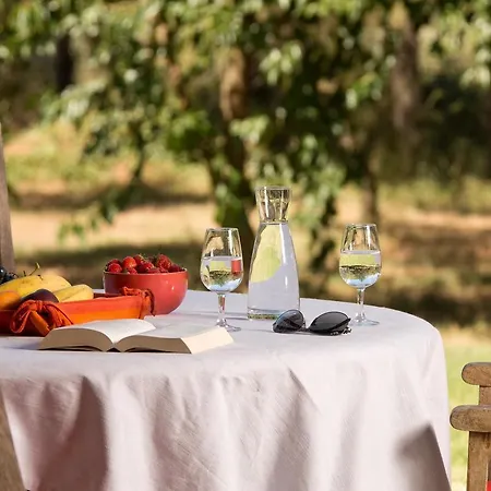 Des Sables Hotel Aigues-Mortes